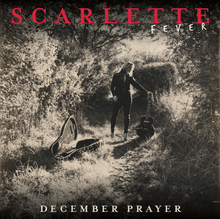 Load image into Gallery viewer, The Scarlette Christmas Busker Bundle
